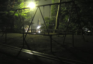midnight park.jpg